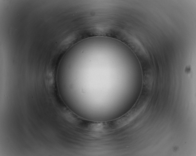 X0000103300131200808291414