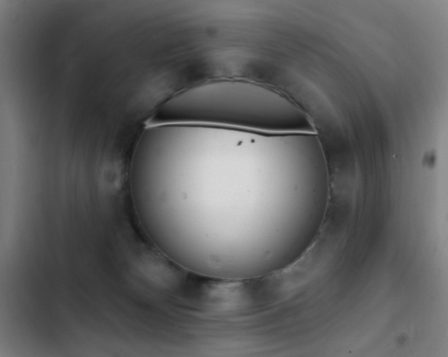 X0000103300132200808291414