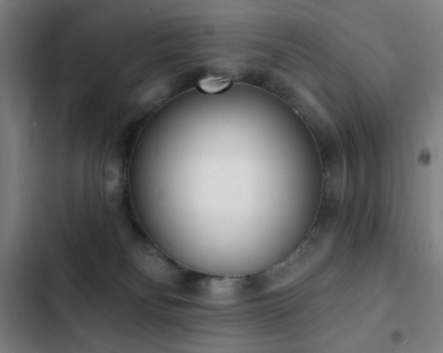 X0000103300134200808291414