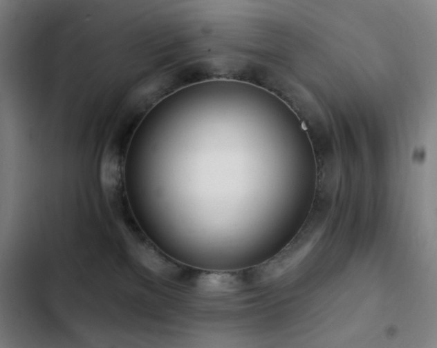 X0000103300137200808291414