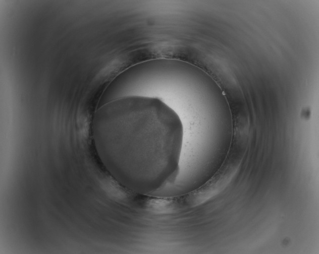 X0000103300139200808291414