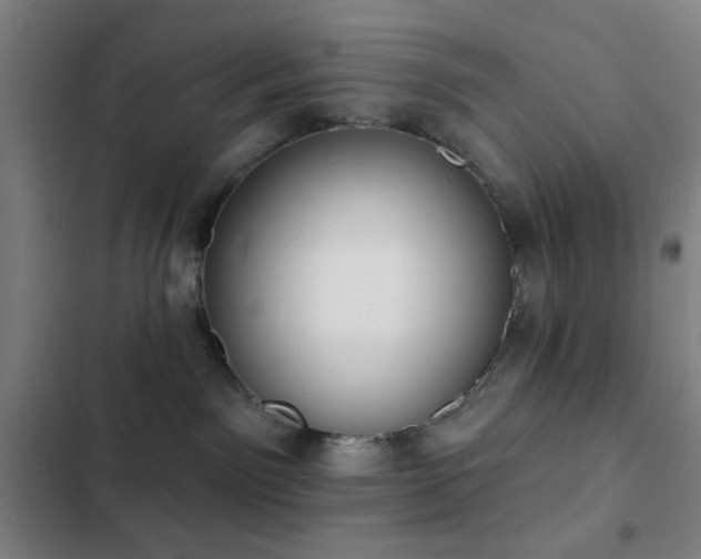 X0000103300141200808291414