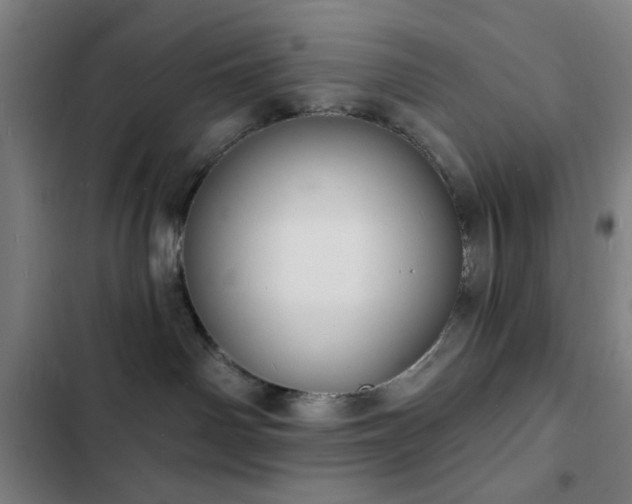 X0000103300142200808291414