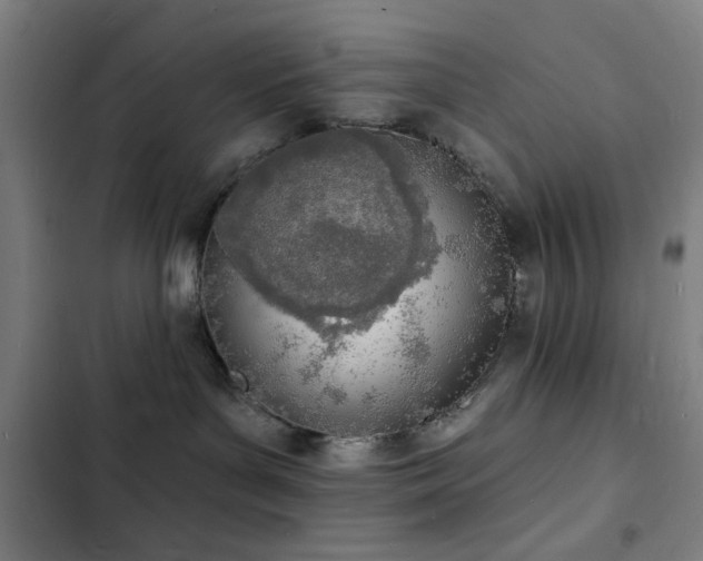 X0000103300143200808291414