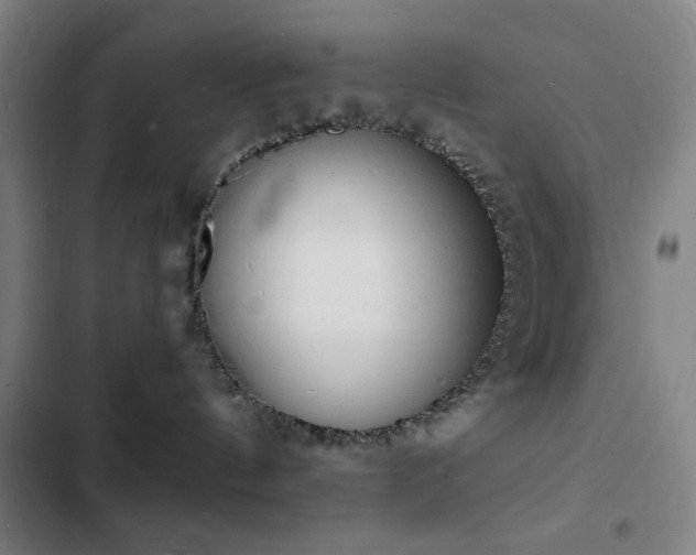 X0000103300144200808291414