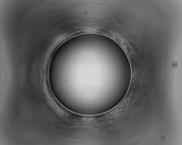 X0000103300145200808291413