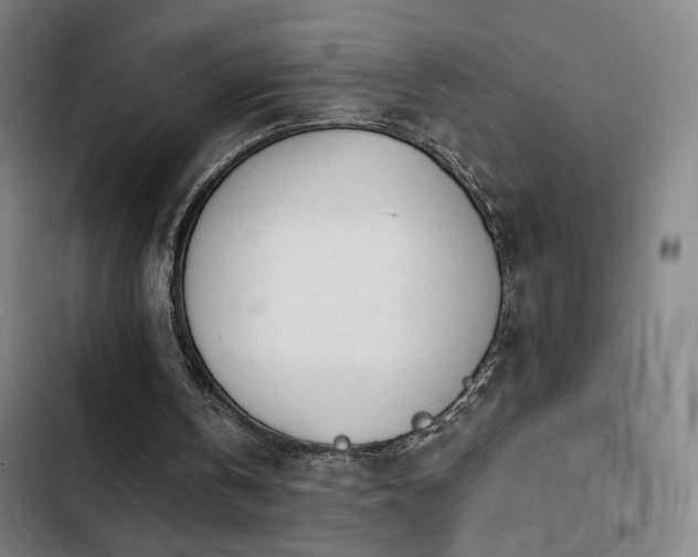 X0000103300146200808291413