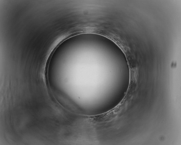 X0000103300147200808291413