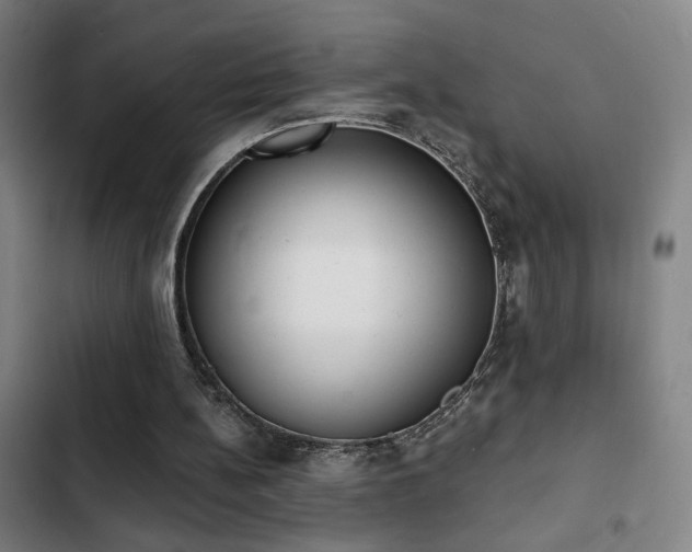 X0000103300148200808291414