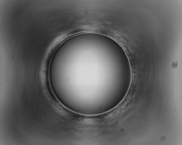 X0000103300149200808291414