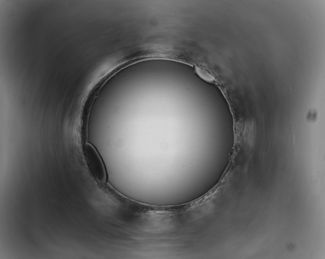 X0000103300150200808291414