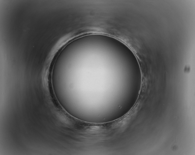 X0000103300151200808291414