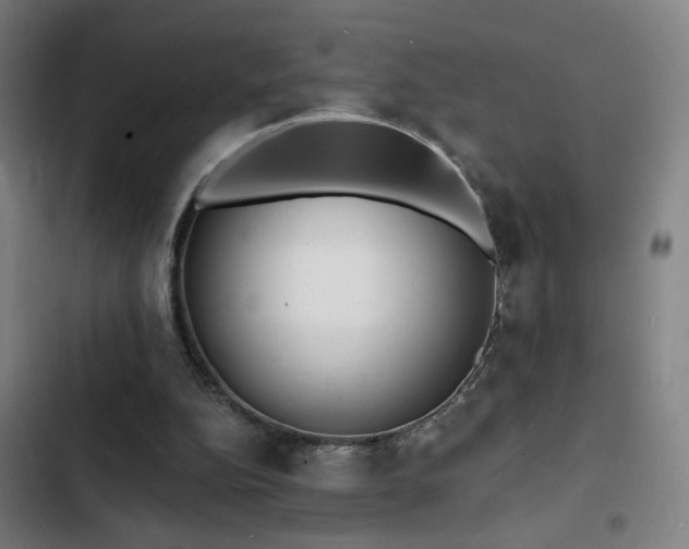 X0000103300152200808291414