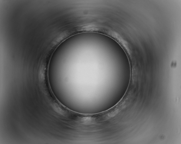 X0000103300153200808291414