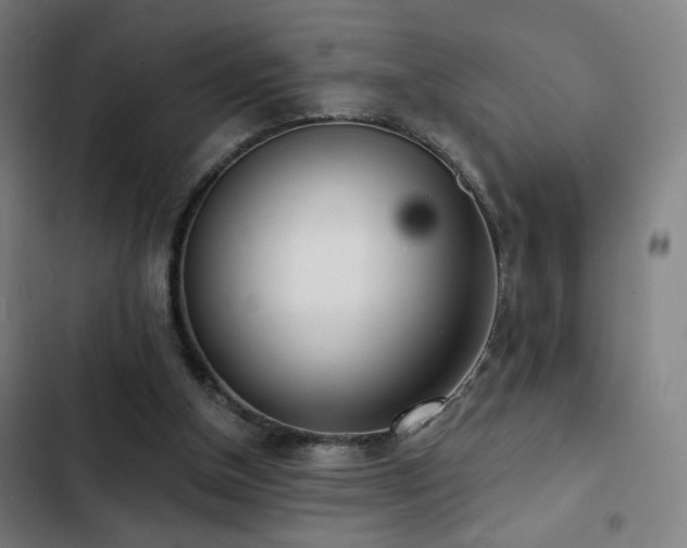 X0000103300154200808291414