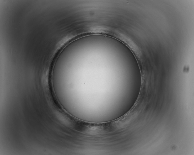 X0000103300155200808291414