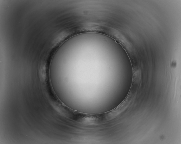 X0000103300158200808291414