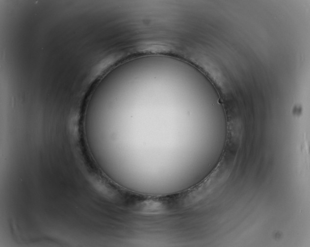 X0000103300159200808291414