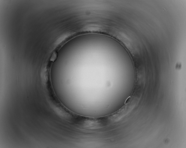 X0000103300160200808291414