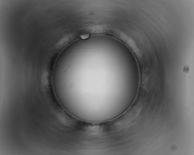 X0000103300161200808291414