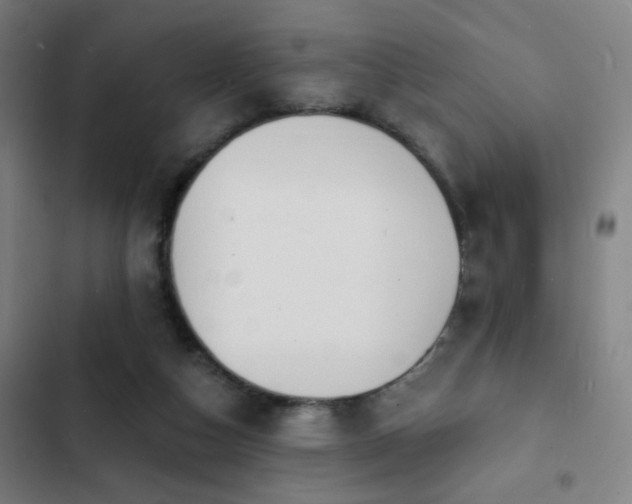 X0000103300162200808291414