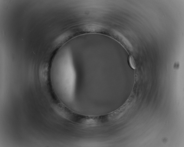 X0000103300163200808291414