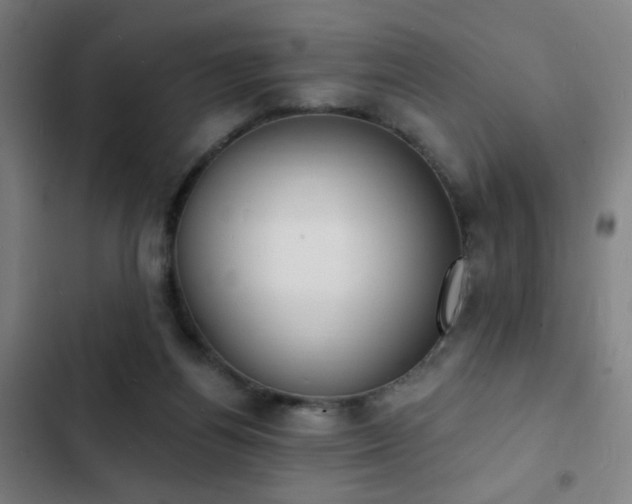 X0000103300164200808291414