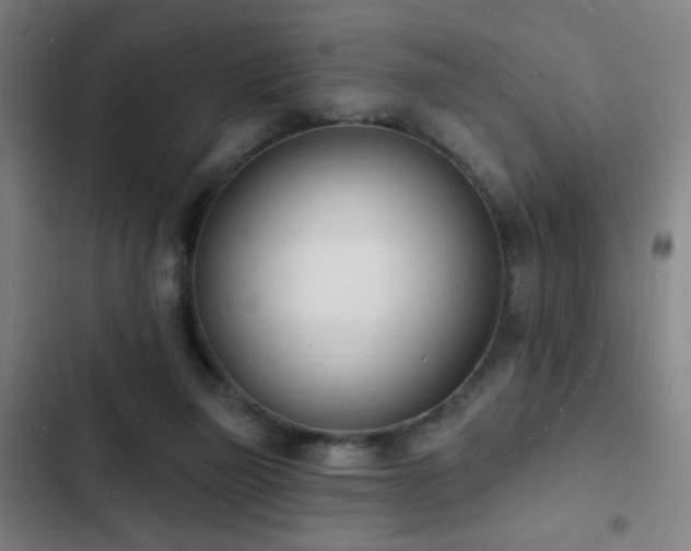 X0000103300165200808291414