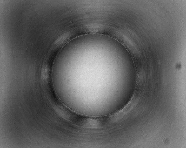 X0000103300166200808291414