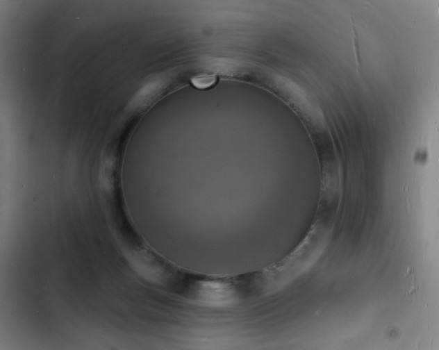 X0000103300167200808291414