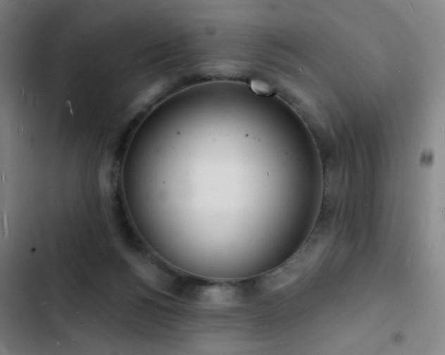 X0000103300168200808291414