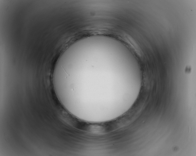 X0000103300169200808291414