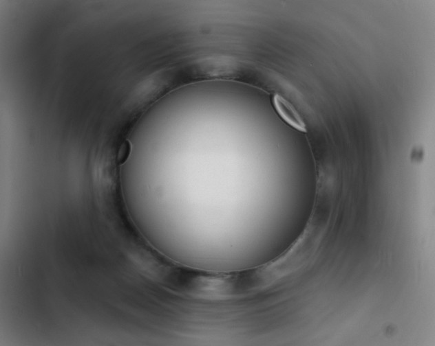 X0000103300170200808291414