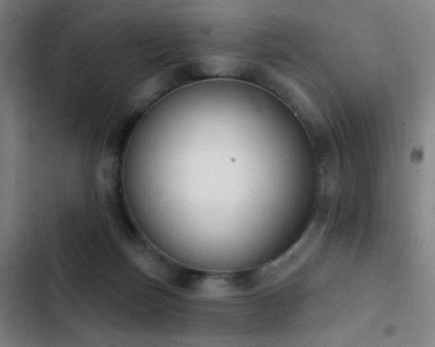 X0000103300171200808291414