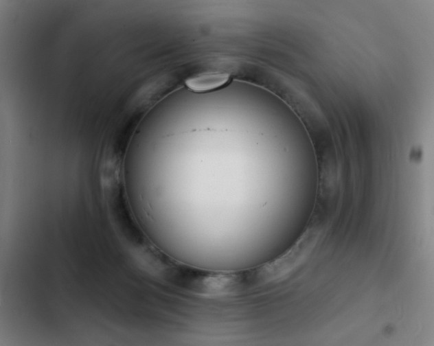 X0000103300172200808291414