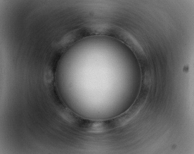 X0000103300173200808291414