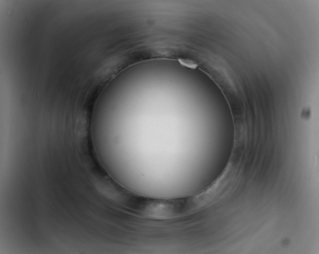 X0000103300174200808291414