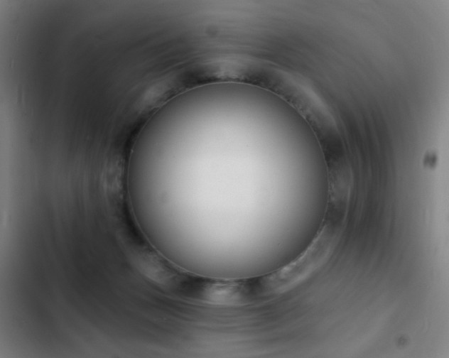 X0000103300175200808291414