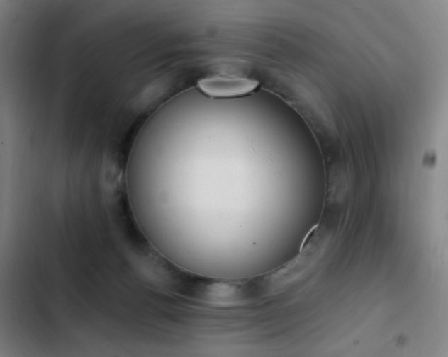 X0000103300176200808291414