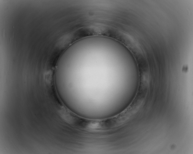 X0000103300177200808291414