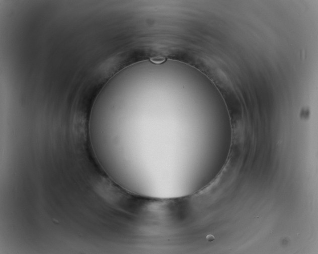 X0000103300178200808291414