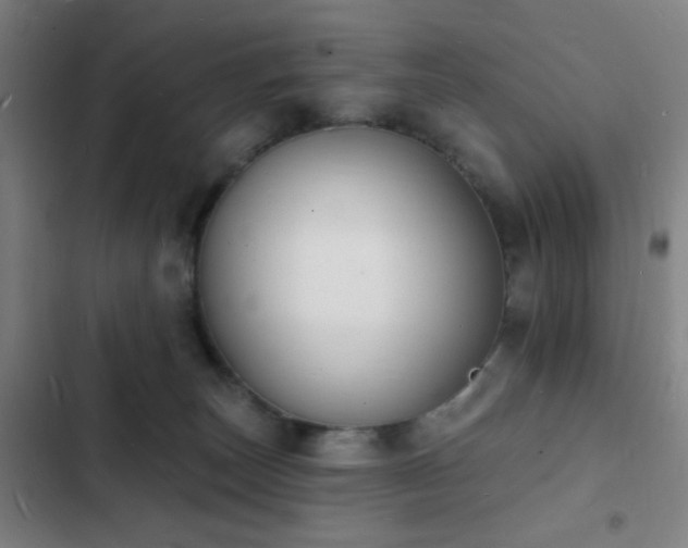 X0000103300179200808291414