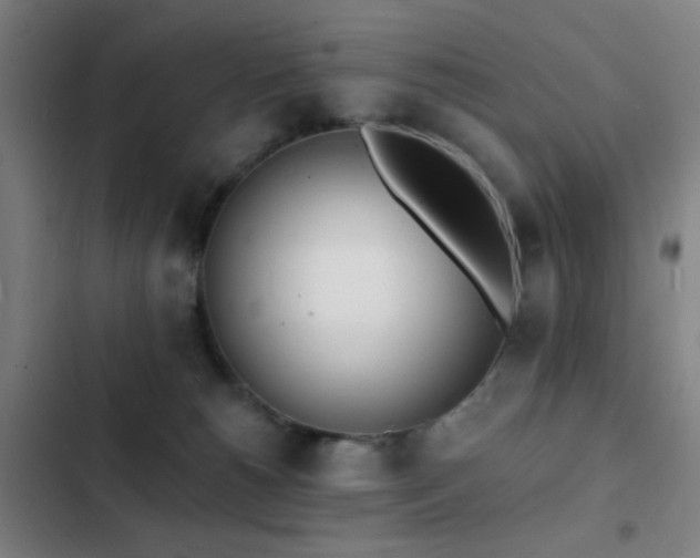 X0000103300180200808291414