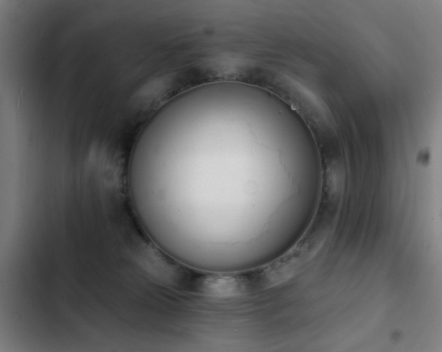 X0000103300181200808291414