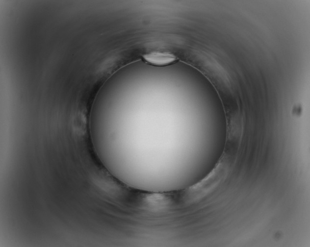 X0000103300183200808291414