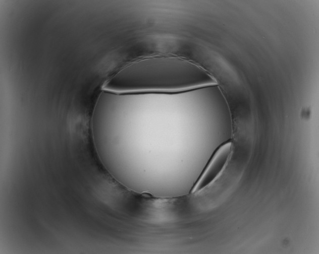 X0000103300184200808291414