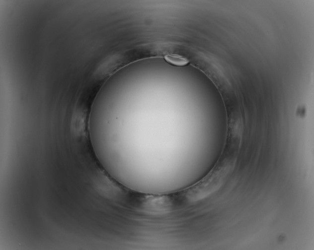 X0000103300185200808291414