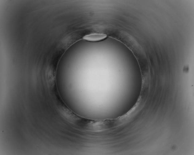 X0000103300186200808291414