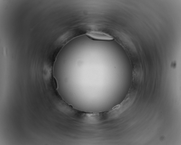 X0000103300188200808291414