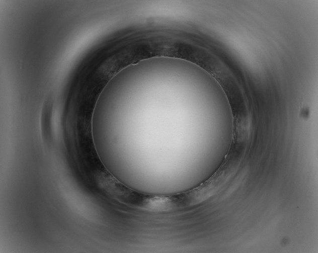 X0000103300189200808291414